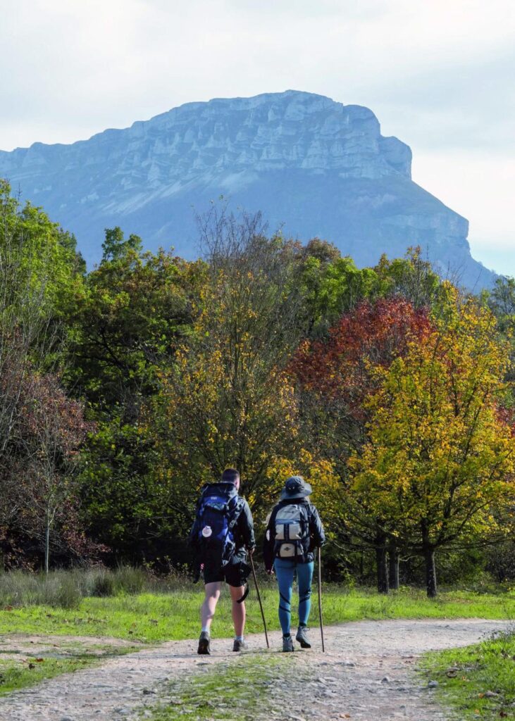 peregrinos_camino_sakana_sandonato