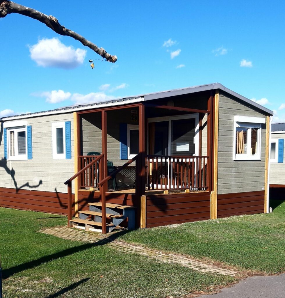 DuY8dTExIvPtpgyhgUDYVUyWHAAD1bGz