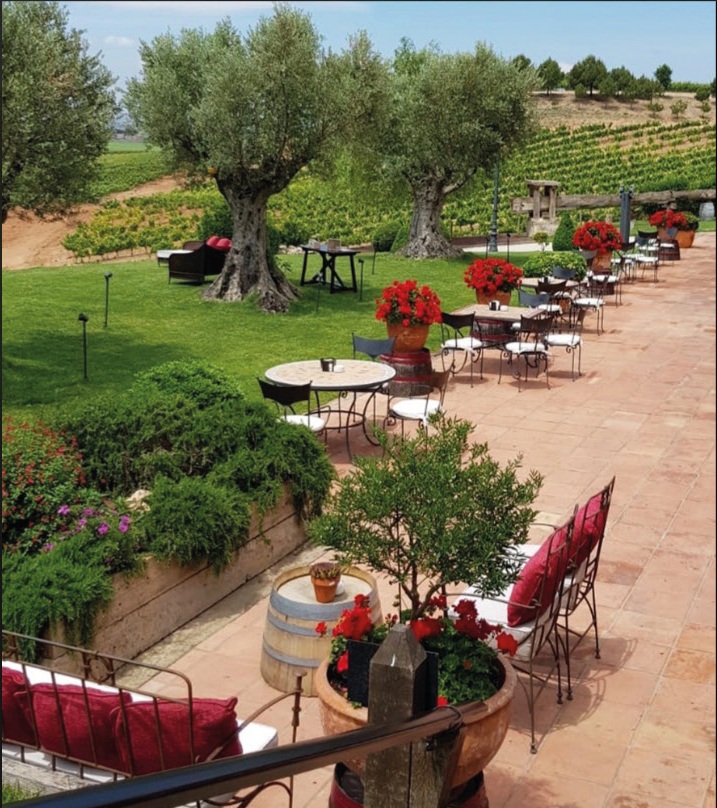 Terraza Pago de Cirsus