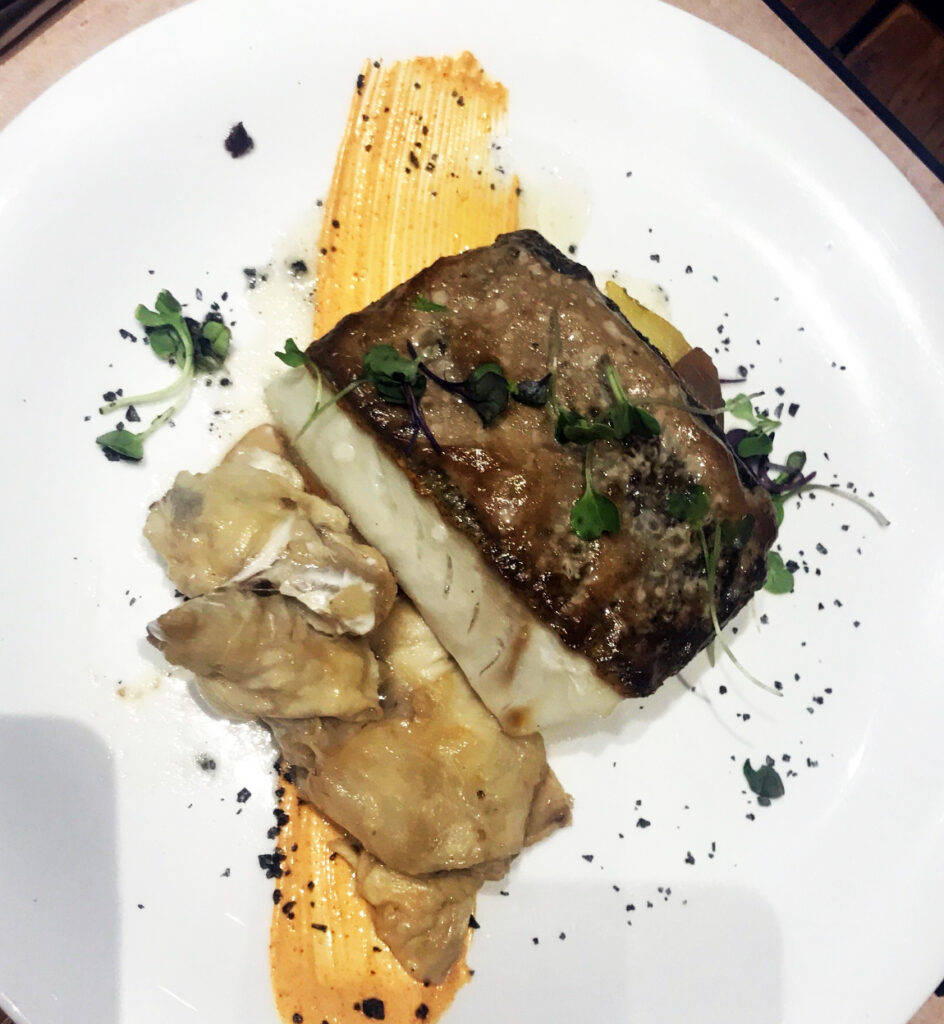 Platos04