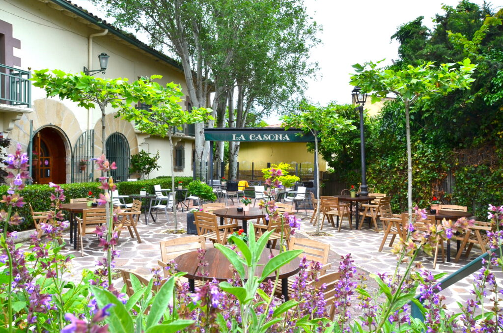 TERRAZA-1