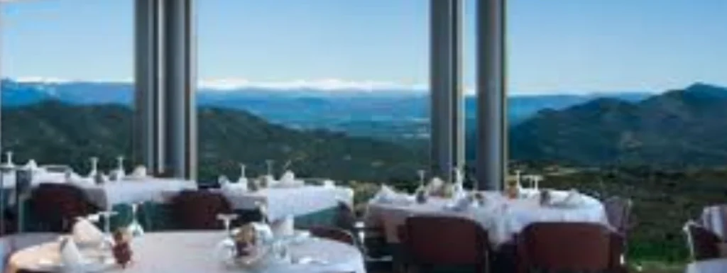 Visitas del restaurante