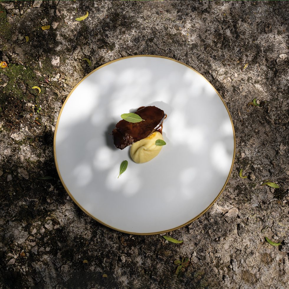 ORIGEN-PLATOS_04-980x980