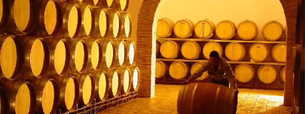 interior de la bodega