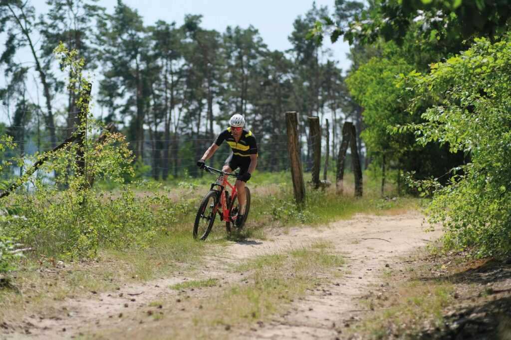 ciclista recorre paisajes verdes en Navarra