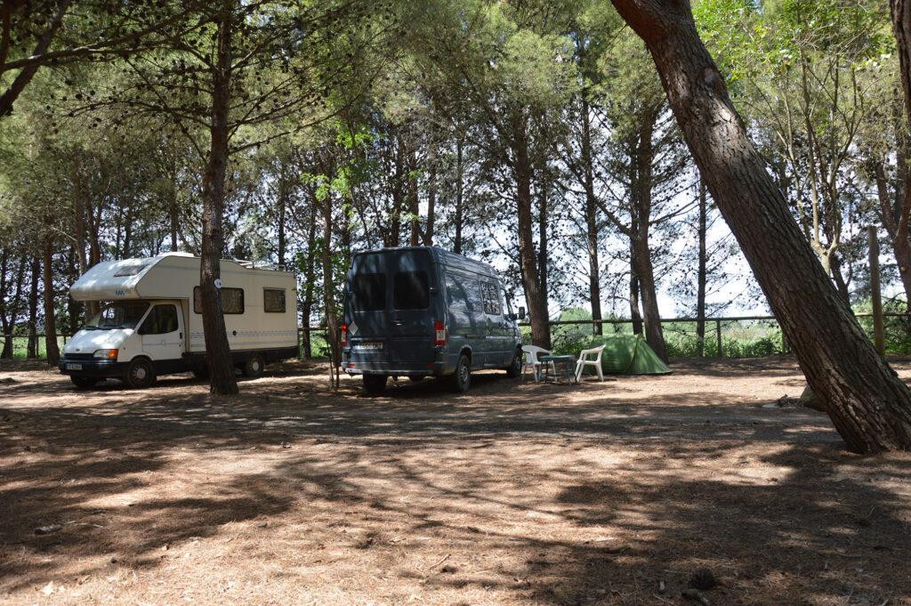 Bosque del Camping Nature