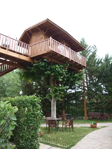 casa del arbol del Hotel Jakue