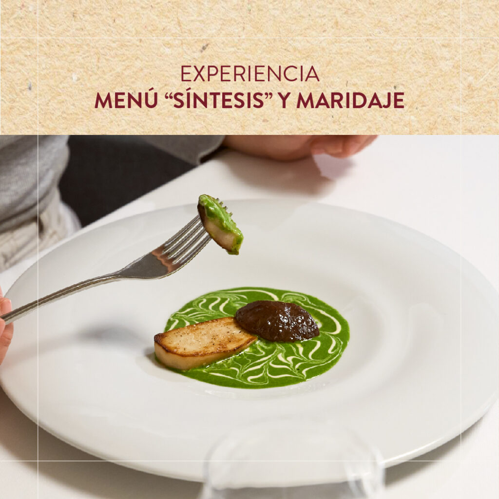 menu-sintesis-el-choko-de-remigio-1